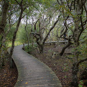 Amrum-2020-61.jpg