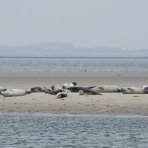 Amrum-2020-98.jpg