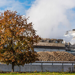 Herbstfabrik (1 von 1).JPG