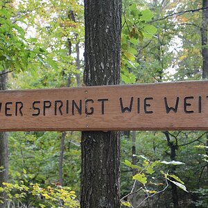 C71_2181.jpg