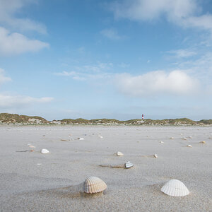 Amrum-2020-83-1.jpg