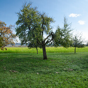 _DSC8274.jpg