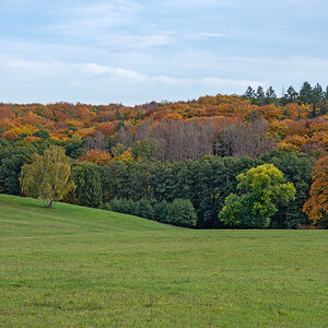 OF2_44464.jpg