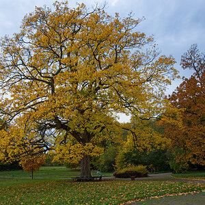 OF2_44496.jpg