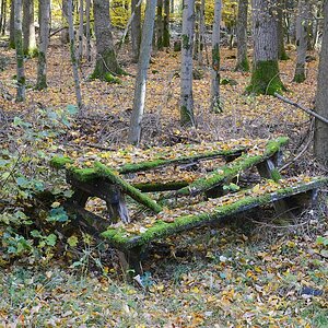 C71_2401.jpg