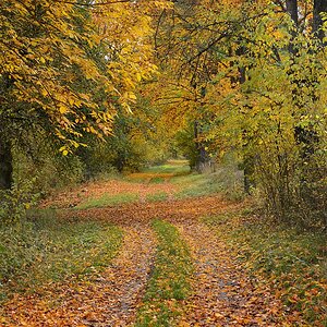 C71_2274.jpg