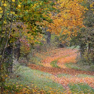 C71_2271.jpg