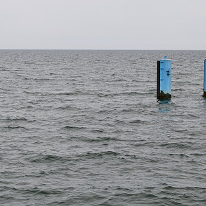 OF-12800.jpg