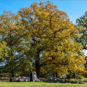 D75_2589.jpg