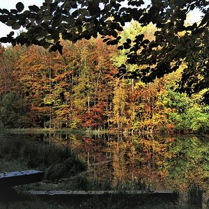 Waldsee UE.jpg