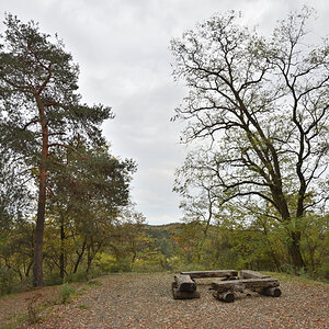 DSC_4212.JPG