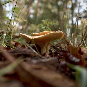 DSC_3019.jpeg