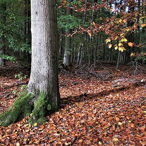 IMG_4413.jpg