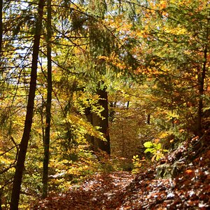 DSC_7416_00001n.jpg