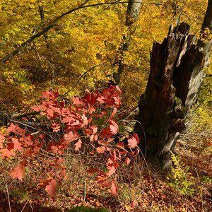 DSC_7423_00001n.jpg
