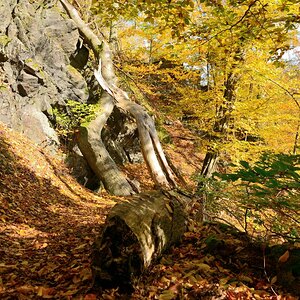 DSC_7432_00001n.jpg