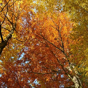 DSC_7475_00001n.jpg