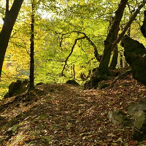 DSC_7516_00001n.jpg