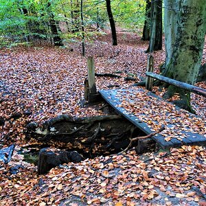 IMG_4429.jpg