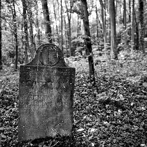 DSC_2928.jpeg