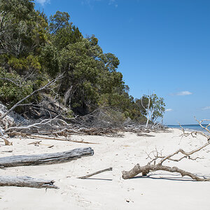 Strand Fraser Island.jpg