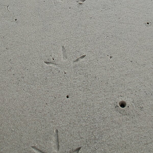 Spuren im Sand.jpg