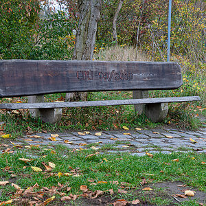OF-44744.jpg