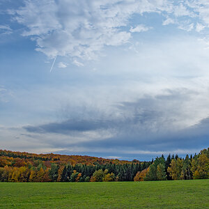 OF2_44462.jpg
