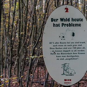 Waldlehrpfad Schooten 1 (1 von 1).JPG