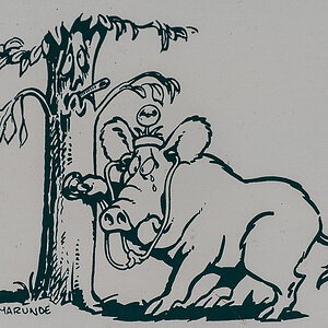 Waldlehrpfad Schooten 2 (1 von 1).JPG