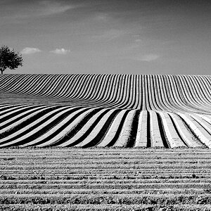 MIX MUKS Kraichgau Hornisgrinde-9278-Bearbeitet.jpg