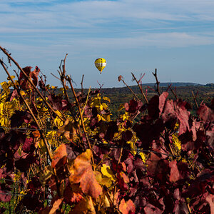 Herbst-Letzenberg-2161.jpg