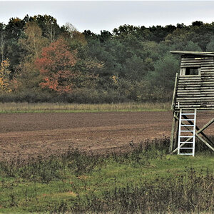 Herbst am Feldrand.jpg