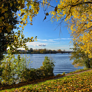 herbst_am_neckar.jpg