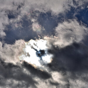 20201102_133438_nf.jpg