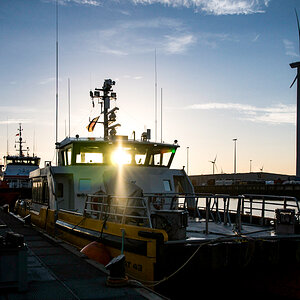 20201105_082026_nf.jpg