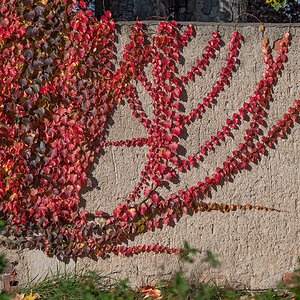 OF5_05717.jpg
