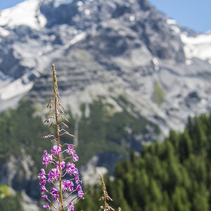 Südtirol.jpg