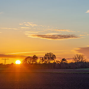 OF2_44909.jpg
