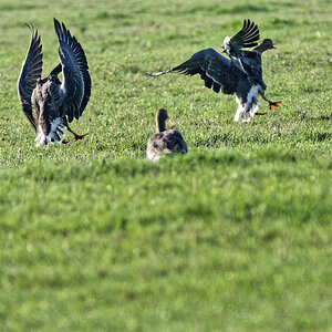 D72_6228_DxO.jpg