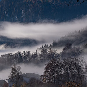 DSC_0201.jpg