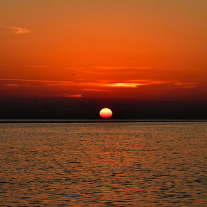 20201107_164458_nf.jpg