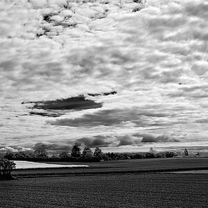 DSCF3980-sw web.jpg