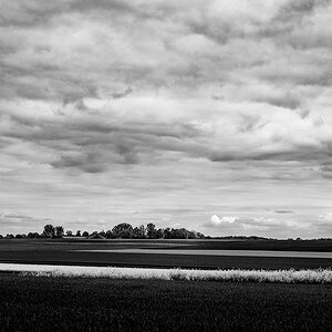 DSCF4114 sw web.jpg