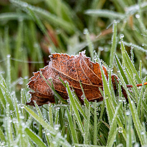 DSC_0160-2.jpg