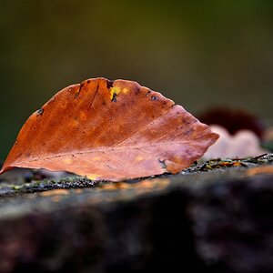 Compressed_0202.jpg