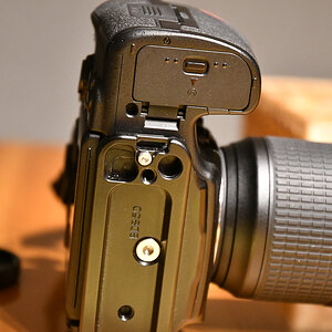 DX5_7146.jpg