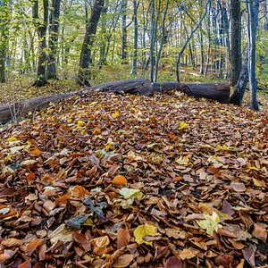 TZ_DSC02471_A.jpg