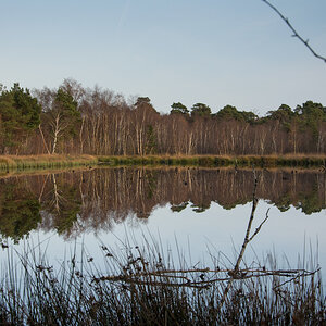 Herbst-2020-Nov-5.jpg