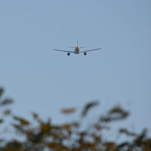 DSC_5725.JPG